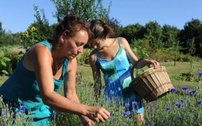 la Ferme du Clédou