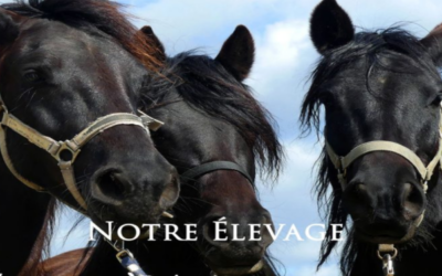 Élevages des granges