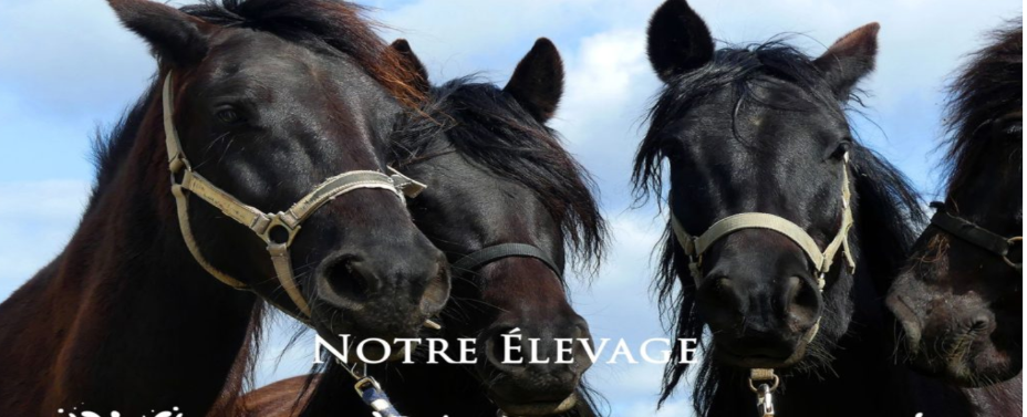 Élevages des granges