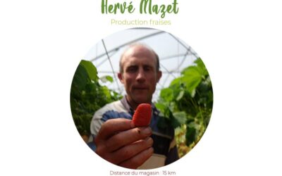 Hervé Mazet, les fraises de Nabirat en Périgord