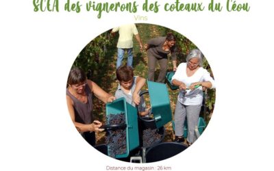 SCEA des vignerons des coteaux du Céou