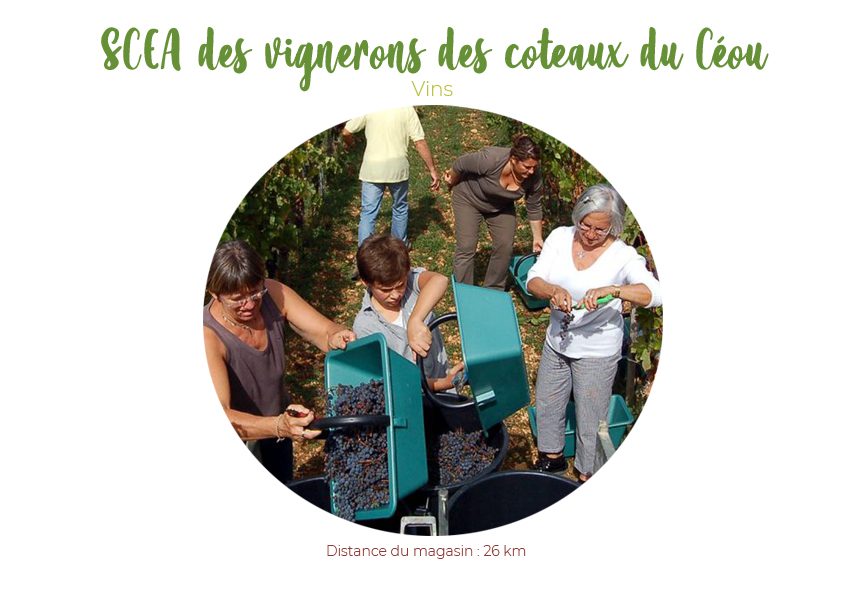 SCEA des vignerons des coteaux du Céou