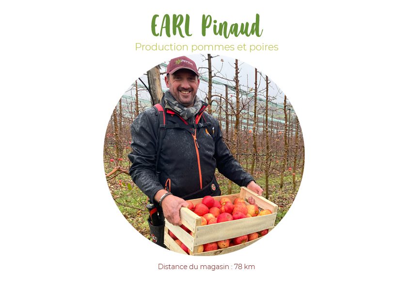 Pomme Braeburn : Culture, Récolte, Conservation