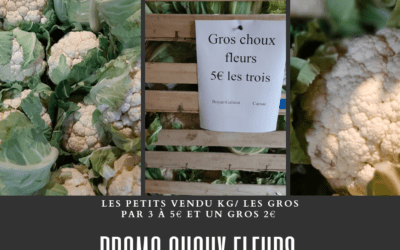 Promo sur les choux-fleurs