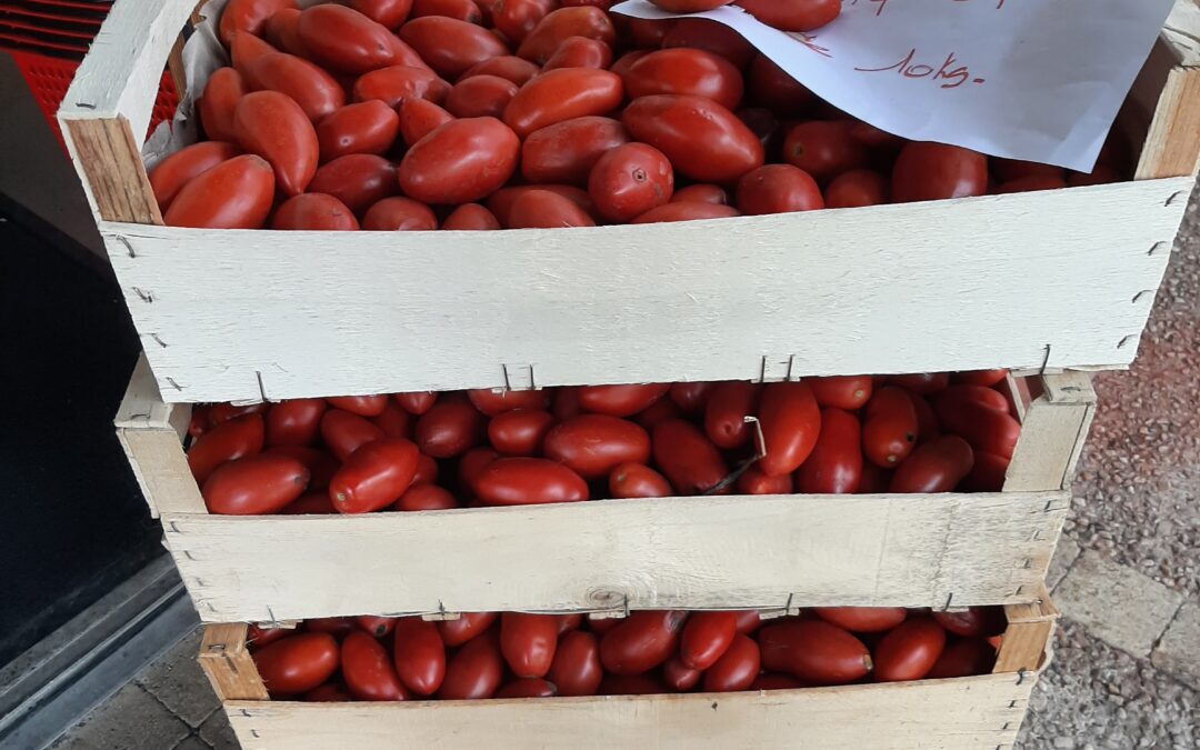 Encore des tomates à coulis !