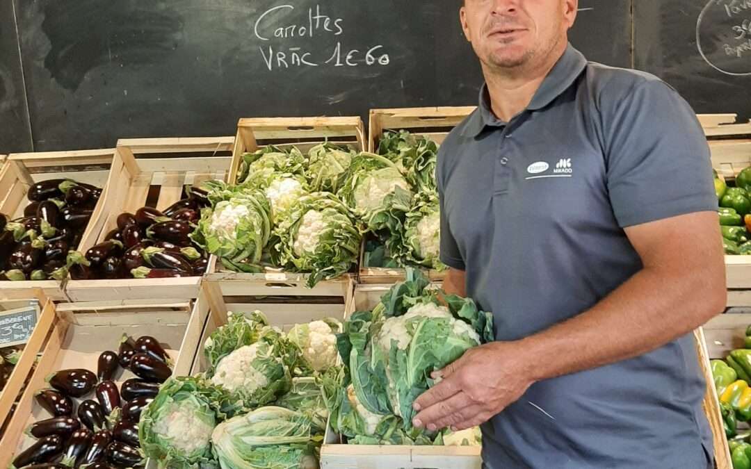 Les choux fleurs du Lot