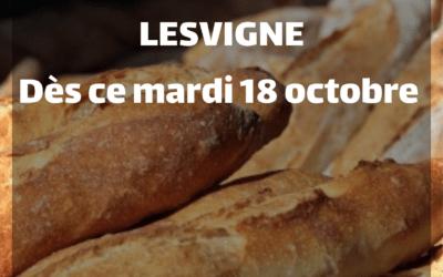 Reprise du pain de campagne Lesvigne