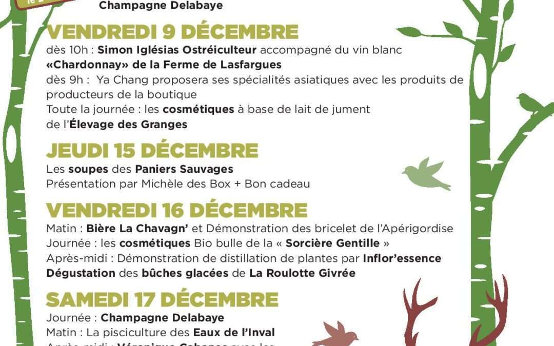 Les animations pour les fêtes de Noël