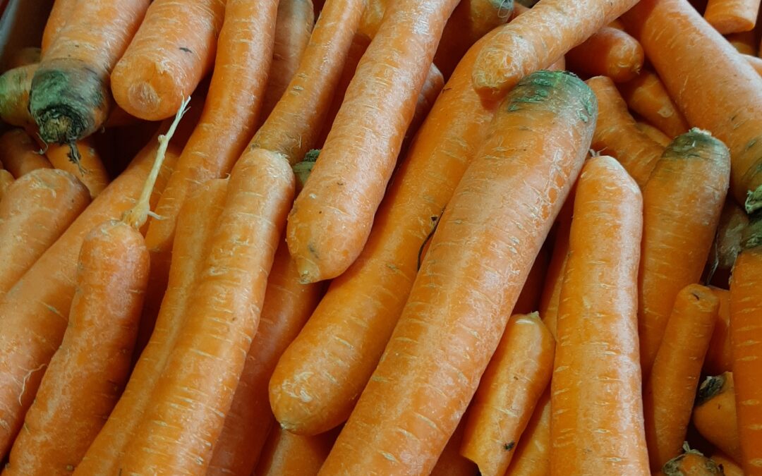 Fin de saison pour les carottes oranges