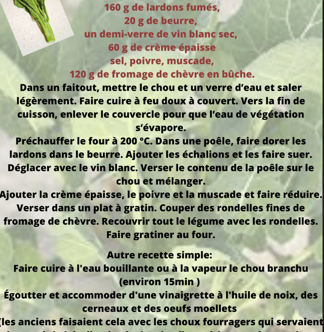 Recette: Chou branchu du Poitou