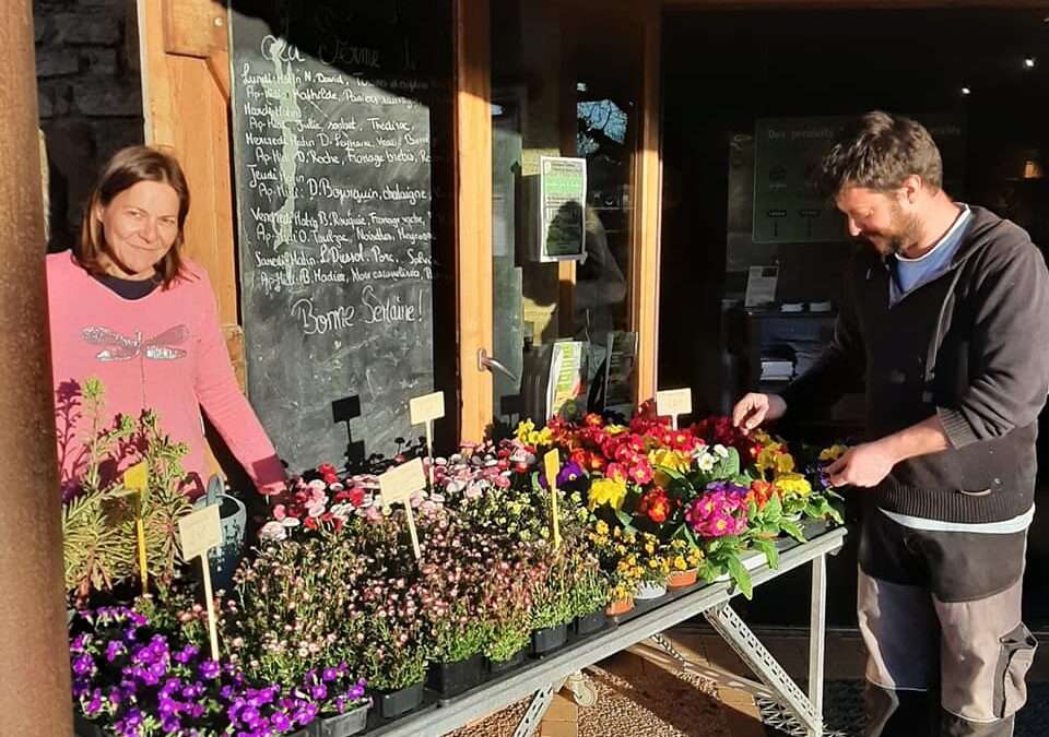 Les plants de Sandrine Burg