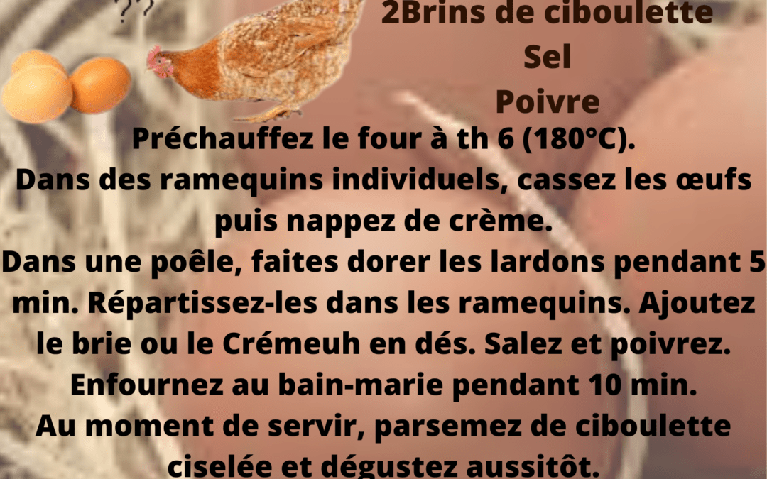 Recette bis: Oeufs