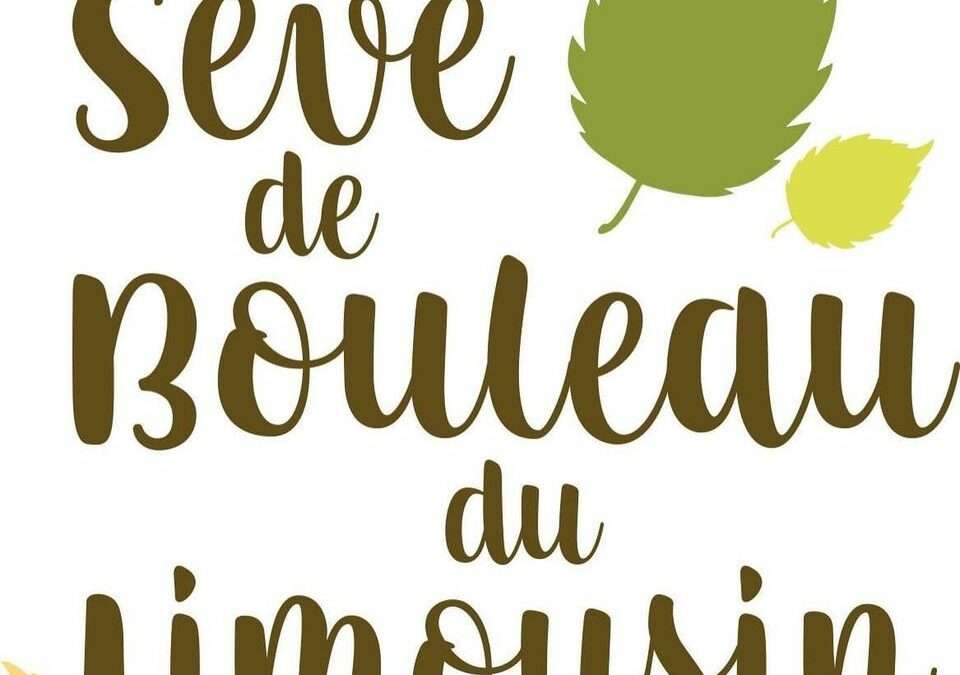 Derniers jours pour la sève de bouleau