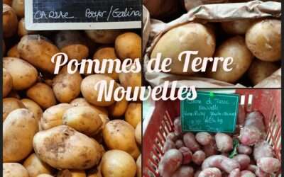 Les pommes de terre