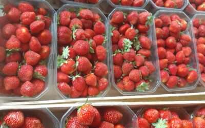 Fraises confitures et promos