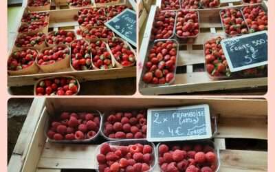 Promo sur fraises et framboises