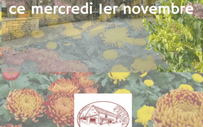 Fermée mercredi 1 er novembre