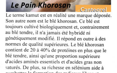 Le Khorosan : un peu de culture