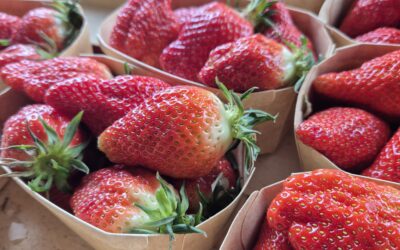 Les fraises de Nabirat