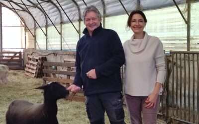 La Ferme des Pins