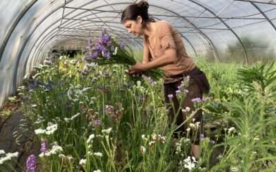 Le potager des chênaies