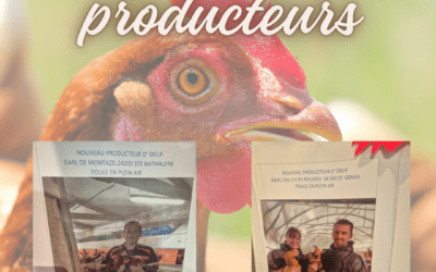 Nouveaux producteurs