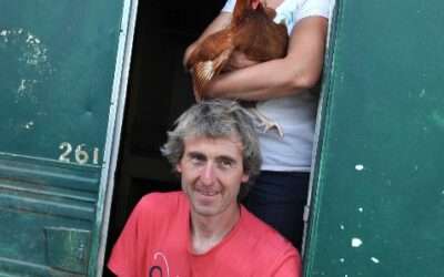 Les oeufs bio de « Malevergne »