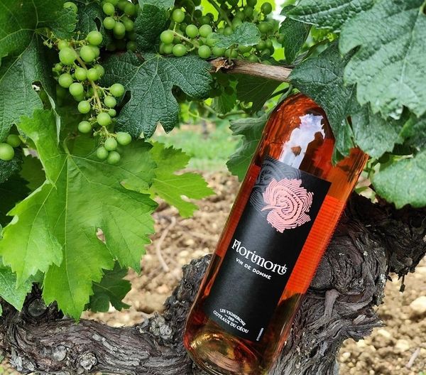 Vin rosé de Domme