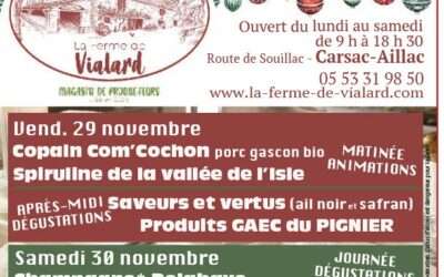 Premières animations de Noël