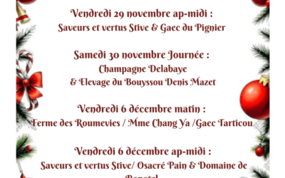 Animations de Noël