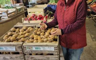 Les Kiwis de la saison