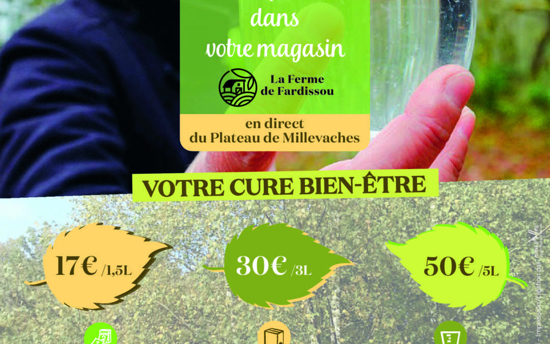 Sève de bouleau