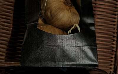 Ail noir et recette