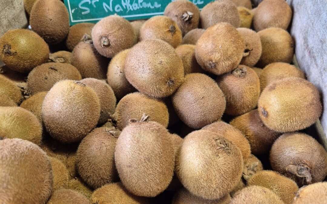 Kiwi fin de saison !