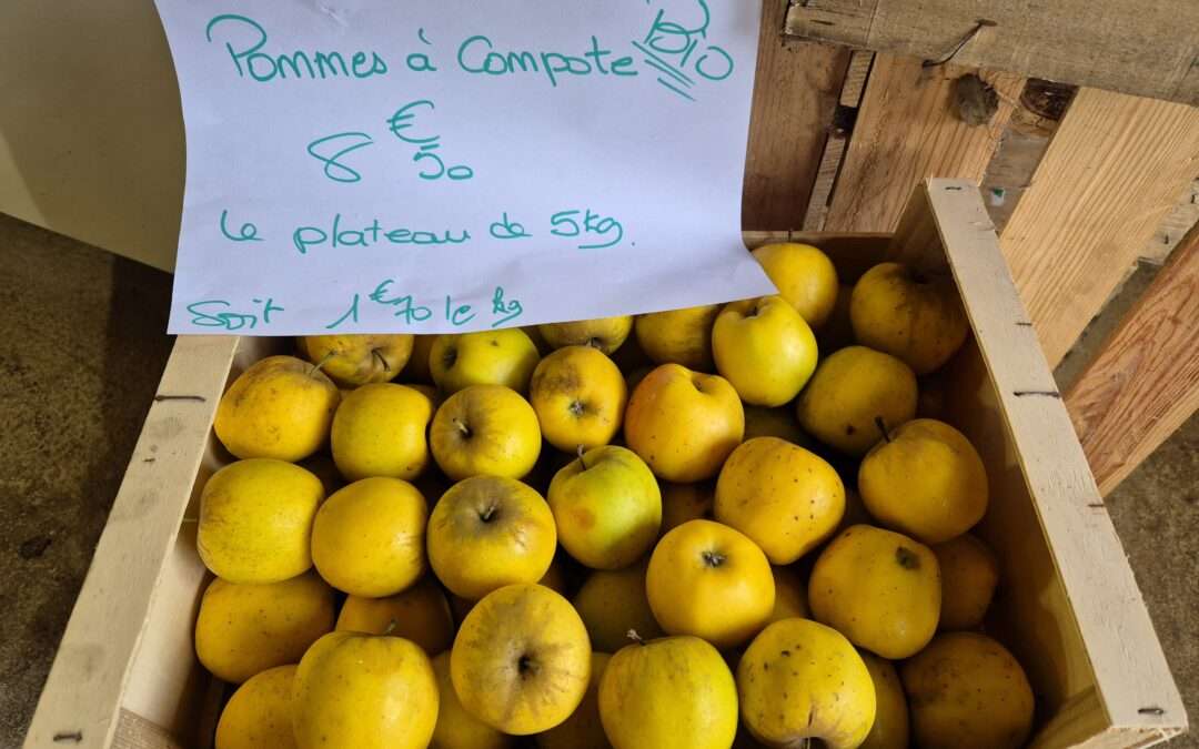 Pommes bio au plateau