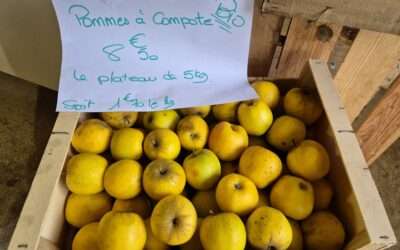 Pommes bio au plateau