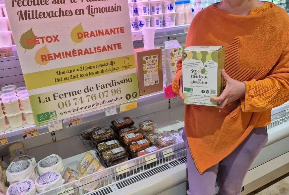 La sève de bouleau est là !