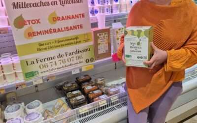 La sève de bouleau est là !