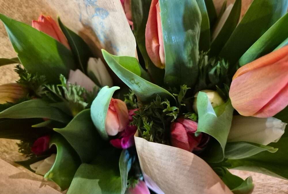 Fleurs coupées