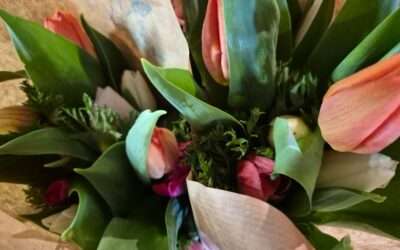 Fleurs coupées