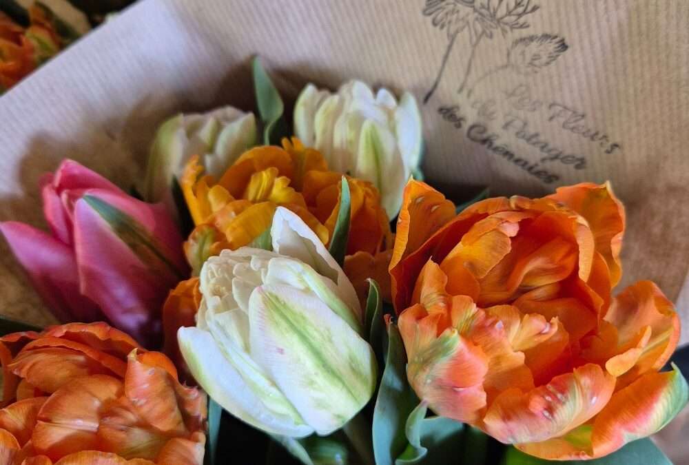 Fleurs coupées