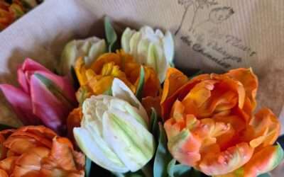Fleurs coupées