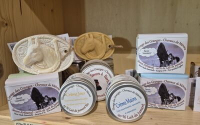 Cosmétique au lait de jument