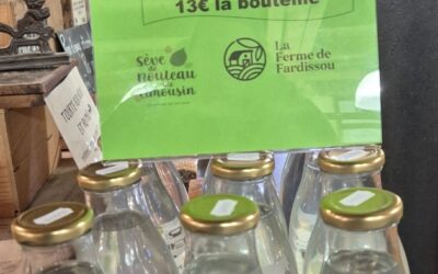Sève de bouleau