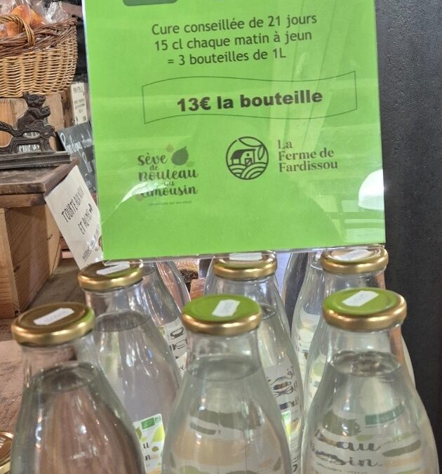 Sève de bouleau