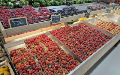 Les fruits rouges