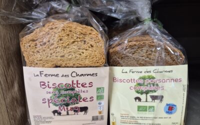 Biscottes
