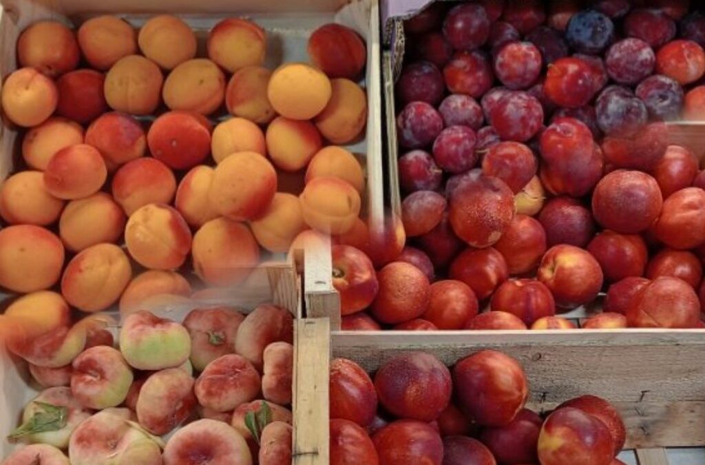 Fruits d’été