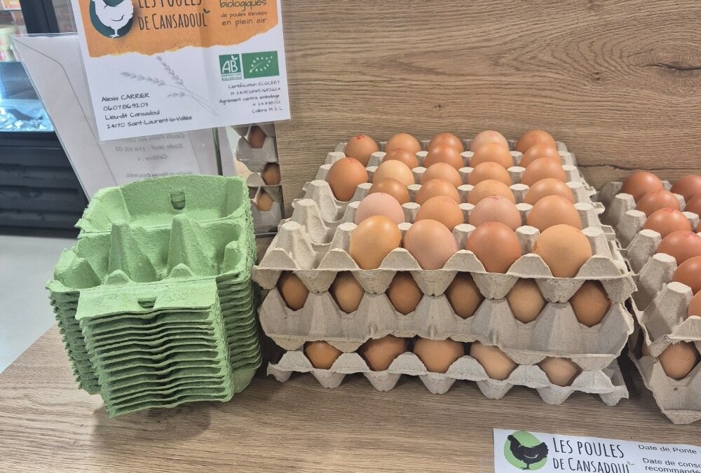 Oeufs bio