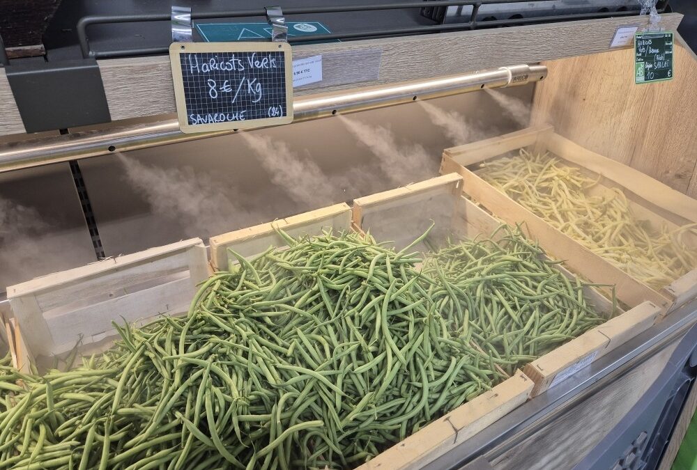 Nos haricots